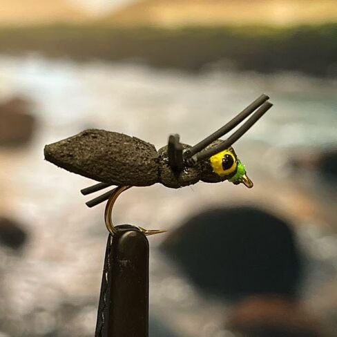 Big Eye Sponge Spider - Size #8, 10, 12 - Pack of 3 - Terrestrial Dry Fly Attractor - Unsinkable Foam - Dropper Rig - Flyfish for Trout Bass Bluegill Crappie in Saudi Arabia