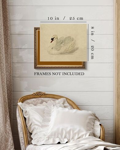 Kizbok خمر جدار الفن ديكور الكلاسيكية البجعة قماش يطبع مزرعة جدار ديكور ريفي الألوان المائية بجعة خمر الفن صور لغرفة النوم الحمام مكتب ديكور (8 "× 10"-غير مؤطرة) in Kuwait