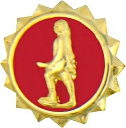 دبوس أو دبوس قبعة HMC US Army Honorable Discharge، أحمر، ذهبي، 9/16 بوصة in Saudi Arabia