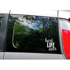 Best Life Ever Decal Vinyl Sticker|Cars Trucks Vans Walls Laptop| White |5.5 x 5 in|CCI1021