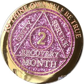 2 Month AA Medallion Reflex Pink Glitter Gold and Silver Plated Chip