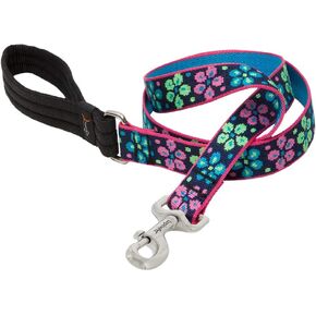 LupinePet Originals 1" Flower Power 6-Foot Padded Handle Leash for Medium and Larger Dogs