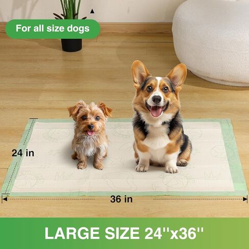 وسادات تبول الجراء للكلاب، مقاس 60.96 سم × 91.44 سم، وسائد كبيرة غير قابلة للانزلاق لتبول الحيوانات الأليفة مع 4 زوايا لاصقة، وسادات نونية سميكة مقاومة للتسرب للاستعمال مرة واحدة، وسادات تدريب للكلاب والقطط والأرانب والحيوانات الأليفة (50 قطعة) in Kuwait