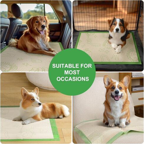 وسادات تبول الجراء للكلاب، مقاس 60.96 سم × 91.44 سم، وسائد كبيرة غير قابلة للانزلاق لتبول الحيوانات الأليفة مع 4 زوايا لاصقة، وسادات نونية سميكة مقاومة للتسرب للاستعمال مرة واحدة، وسادات تدريب للكلاب والقطط والأرانب والحيوانات الأليفة (50 قطعة) in Kuwait