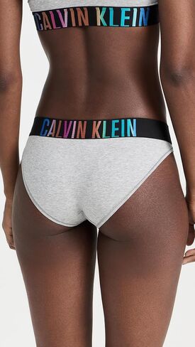 Calvin Klein underwear Women's Ombre Pride Bikini Briefs in Saudi Arabia