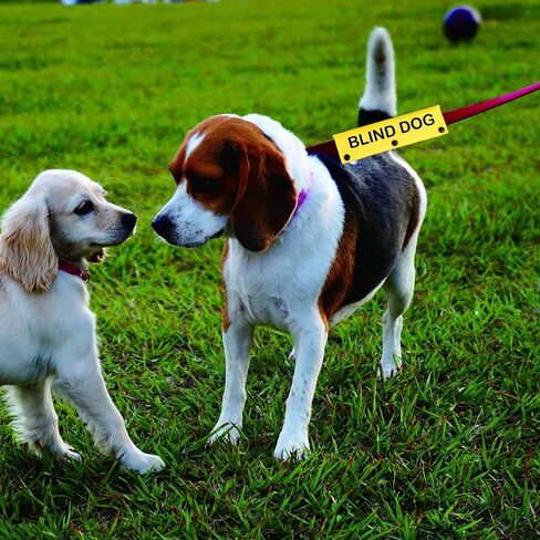 Visual Impairment Dog Leash Sleeve Blind Dog Dog Leash Wrap Wrap Alert Hanging ID Patch Tag Pet Birthday Gift(Blind Dog-Sleeve) in Saudi Arabia