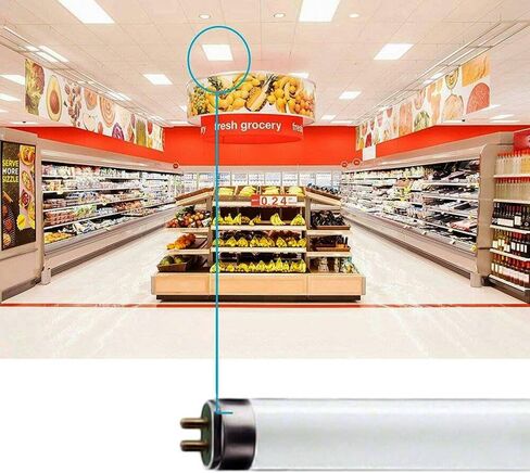 Circle (6 Pack F17T8/841 17W 24 Inch T8 Fluorescent Tube Light Bulb, 4100K Cool White, Medium Bi-Pin (G13) Base, 17 Watt T8 Light Bulbs in Saudi Arabia