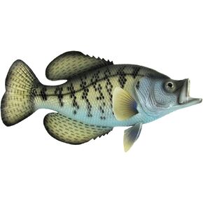 Treasure Gurus Realistic Freshwater Black Crappie 15" Fish Resin Plaque Wall Mount Trophy Taxidermy