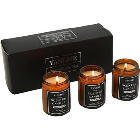 3 Pack Scented Candles Set | Soy Candles for Home Scented | Perfect Candles for Women and Candles for Men | The Perfect 3 Pack Candle Set | Scented Candle