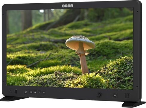 Osee Mega 22S 22 بوصة فائقة السطوع HDR مراقبة الإنتاج الميداني VMKit مع لوحة بطارية Sunhood Cstand محول قالب رغوة مخصص in Kuwait