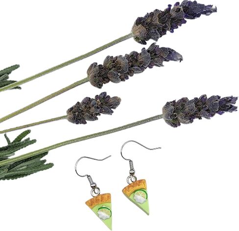 Miniature Food Polymer Clay Dangle Earrings in Kuwait