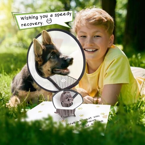 Funny Pop Up Get Well Soon Card, Humorous 3D Speedy Surgery Recovery Card for Friends Patient, Lovely Sympathy Cards for Men Women, At Least You Don't Have to Wear A Cone, Pug Cone Card in Saudi Arabia
