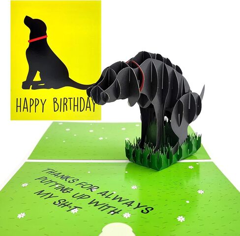 Funny Pop Up Get Well Soon Card, Humorous 3D Speedy Surgery Recovery Card for Friends Patient, Lovely Sympathy Cards for Men Women, At Least You Don't Have to Wear A Cone, Pug Cone Card in Saudi Arabia