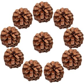 Natural Mini Pine Cones Rustic Thanksgiving Pine Cone Decorations Small Pinecone Vase Filler Christmas Tree Ornaments Pinecones 6 cm 10 Pcs