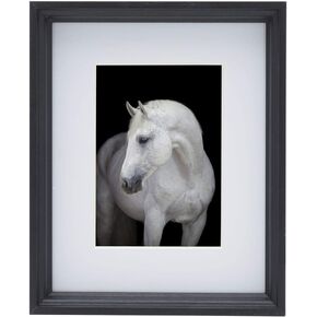 إطار صور ستوديو نوفا يعرض 8 × 10 صور 16 × 20 بدون حصيرة، أسود in Kuwait