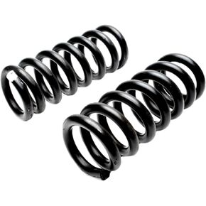 MOOG 5716 Coil Spring Set for Dodge D350