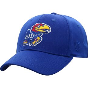 Top of the World Premium Collection One-Fit Memory Fit Team Color Icon Hat