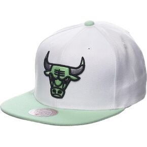 Mitchell & Ness Men's Platinum Mint Snapback Cap