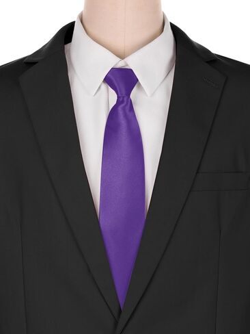 Solid Color Tie, Satin Shine Pretied Knot, Zipper Ties for Men Formal Casual in Kuwait