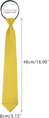 Solid Color Tie, Satin Shine Pretied Knot, Zipper Ties for Men Formal Casual in Kuwait