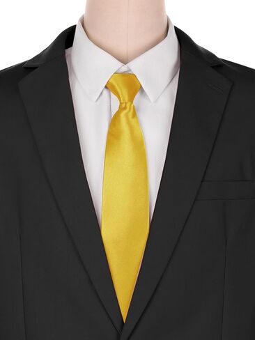 Solid Color Tie, Satin Shine Pretied Knot, Zipper Ties for Men Formal Casual in Kuwait