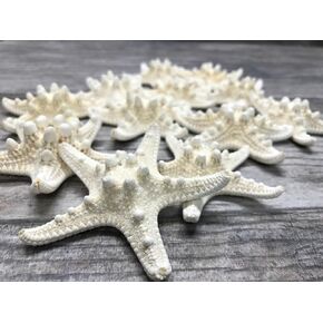 Real Starfish | 12 Real White Knobby Starfish 2" to 3 1/2" | Plus Free Nautical eBook by Joseph Rains
