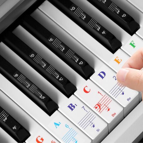 Piano Key Stickers 88 Key Piano Notes Guide Removable Letters Piano Keyboard Stickers for All Piano Keys Transparent Note Guie（Rainbow Colors） in Saudi Arabia