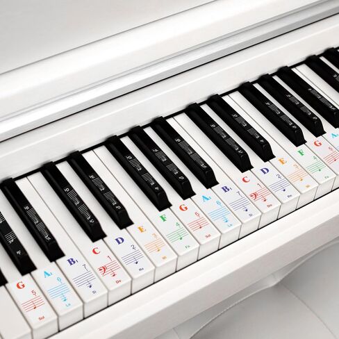Piano Key Stickers 88 Key Piano Notes Guide Removable Letters Piano Keyboard Stickers for All Piano Keys Transparent Note Guie（Rainbow Colors） in Saudi Arabia
