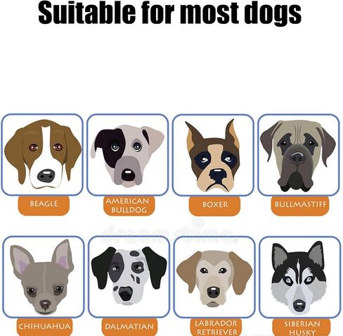 Friendly But Nervous Alert Hang Tags for Dog Nervous Dog Hanging Dog Alert Patches Hanging Dog Tags (Friendly But Nervous-D) in Saudi Arabia