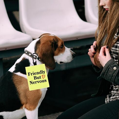 Friendly But Nervous Alert Hang Tags for Dog Nervous Dog Hanging Dog Alert Patches Hanging Dog Tags (Friendly But Nervous-D) in Saudi Arabia