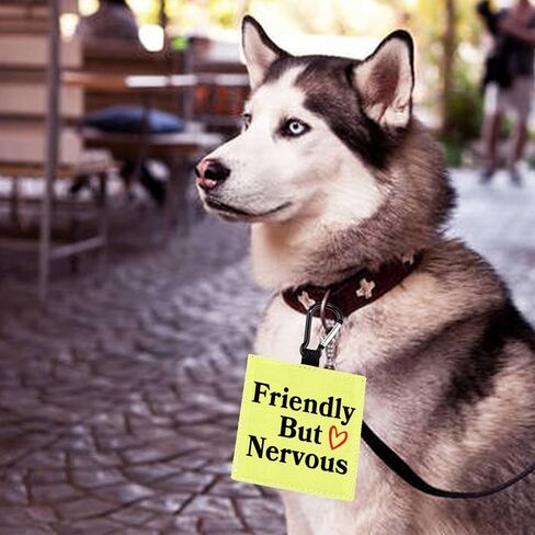Friendly But Nervous Alert Hang Tags for Dog Nervous Dog Hanging Dog Alert Patches Hanging Dog Tags (Friendly But Nervous-D) in Saudi Arabia