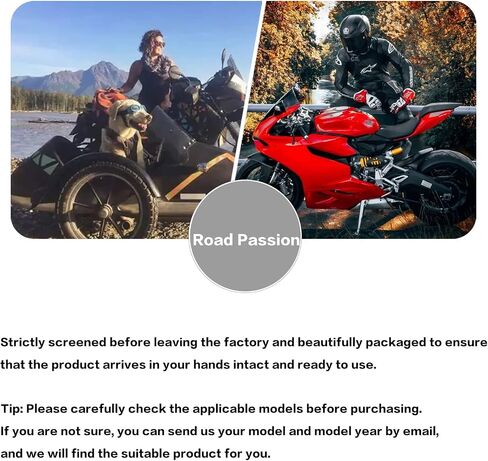 Road Passion 31100-38F00 Starter Motor for Suzuki ATV Eiger 400 Arctic Cat ATV 375 400 2002-2008 2X4 4X4 UTV TRV Suzuki KingQuad 400 LT-A400 LT-F400 3545-016 in Saudi Arabia