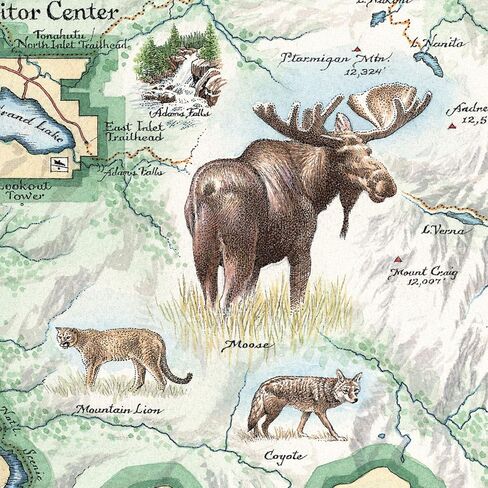 Rocky Mountain National Park Hand-Drawn Map Poster - Authentic 18x24 Inch Vintage-Style Wall Art - Lithographic Print with Soy-Based Inks - Unique Gift for History Buffs, Travelers, Teachers, or Home Decor - All-Ages - Made In USA in Saudi Arabia