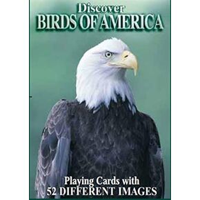Discover Series Fun Playing Cards - Informational & Educational (Birds of America)