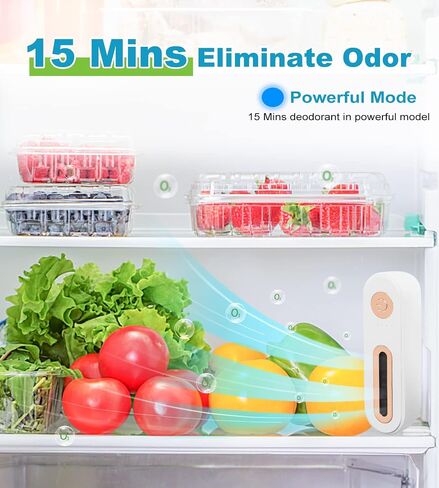 NEWEST [4 in 1] Fridge Deodorizer - Refrigerator Air Freshener Reusable Fridgerator Deodorizer Odor Eliminator Outperforms Baking Soda for Fridge and Freezer & Bamboo Charcoal Air Purifying Bags in Saudi Arabia