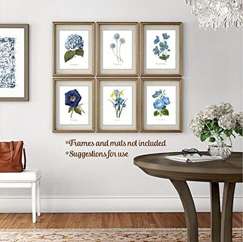لوحة فنية جدارية على شكل زهرة زرقاء - ديكور حائط زهري عتيق - مطبوعات نباتية - صور زهور بألوان مائية - عمل فني لغرفة النوم، وغرفة المعيشة، والمزرعة - مجموعة من 6-11x14 - غير مؤطرة in Kuwait