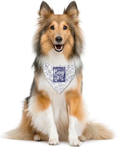 It's A Boy Dog Bandana، Dog Bandana، ملحقات وشاح الكلب الأزرق، وشاح مثلث للكلاب الأليفة، باندانا للكلاب الصغيرة والمتوسطة الكبيرة، باندانا إعلان الطفل، هدية لمحبي الكلاب (B43) in Saudi Arabia
