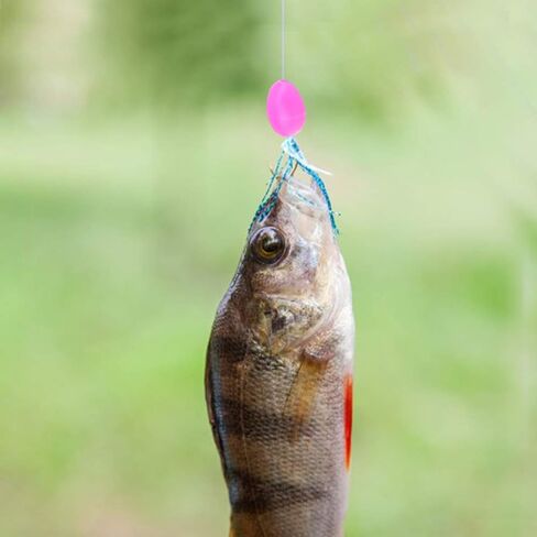 VBESTLIFE 1500Pcs Fishing Bead Set, Oval Shaped Luminous Fish Beads Fish Lures Tackle Tools 3 Sizes 5 Colors in Saudi Arabia