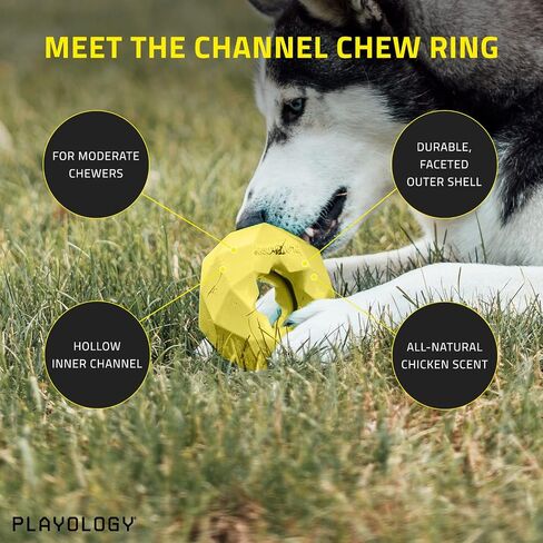 Playology Channel Chew Ring Dog Chew Toy for Large to X-Large Dogs 50lbs & up | Engaging All-Natural Chicken Scented Toys for Heavy Chewers | Interactive and Non-Toxic in Saudi Arabia