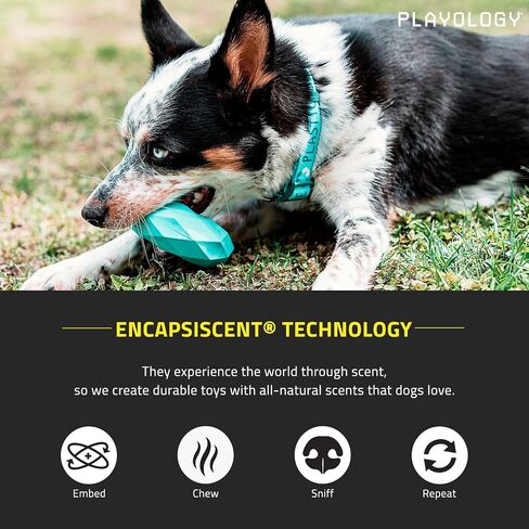 Playology Channel Chew Ring Dog Chew Toy for Large to X-Large Dogs 50lbs & up | Engaging All-Natural Chicken Scented Toys for Heavy Chewers | Interactive and Non-Toxic in Saudi Arabia