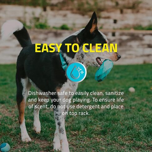 Playology Channel Chew Ring Dog Chew Toy for Large to X-Large Dogs 50lbs & up | Engaging All-Natural Chicken Scented Toys for Heavy Chewers | Interactive and Non-Toxic in Saudi Arabia
