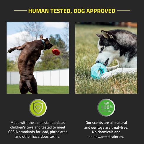 Playology Channel Chew Ring Dog Chew Toy for Large to X-Large Dogs 50lbs & up | Engaging All-Natural Chicken Scented Toys for Heavy Chewers | Interactive and Non-Toxic in Saudi Arabia