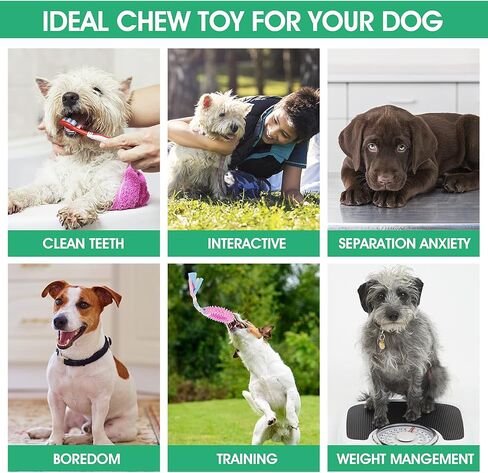 Cobee Puppy Teething Chew Toys with Cotton Ropes, 3 Packs 360° Deep Clean Small Dog Chew Toy Rings Interactive Dog Toys for Small Medium Dogs, Oral Teeth Soothe Itching for Dog Teeth Health in Saudi Arabia