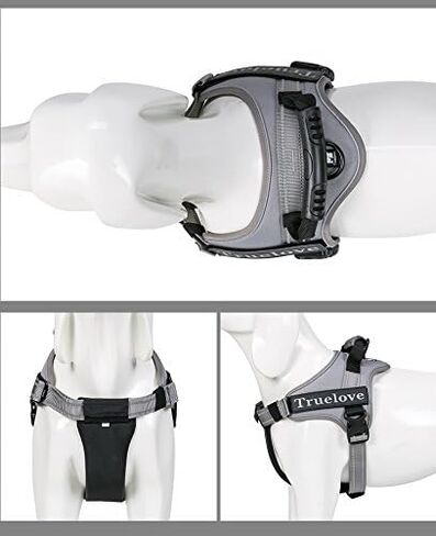 Truelove Dog Harness No-Pull Reflective Stitching Ensure Night Visibility Outdoor Adventure Big Dog Harness Perfect Match Puppy Vest TLH5753 Now Available in 6 Colors 6 Sizes in Saudi Arabia