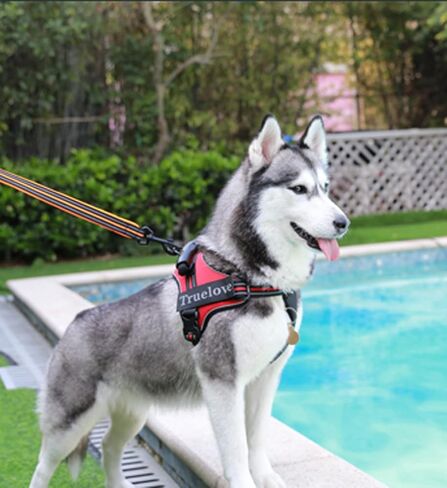 Truelove Dog Harness No-Pull Reflective Stitching Ensure Night Visibility Outdoor Adventure Big Dog Harness Perfect Match Puppy Vest TLH5753 Now Available in 6 Colors 6 Sizes in Saudi Arabia