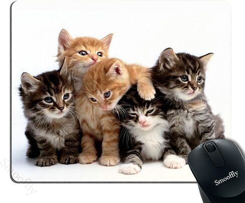 Smooffly Cats Mouse pad for Computers, Kittens Family Cats Mouse Pad in Kuwait