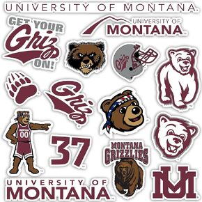 Desert Cactus University of Montana Sticker Grizzlies UM Griz UMont Stickers Vinyl Decals Laptop Water Bottle Car Scrapbook (Type 2)