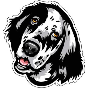 WickedGoodz Smiling English Setter Decal - Dog Breed Bumper Sticker - for Laptops Tumblers Windows Cars Trucks Walls