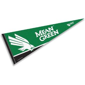 College Flags & Banners Co. North Texas Pennant Full Size Felt
