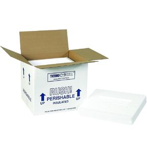 BOX USA B220C Insulated Shipping Kits, 10 1/2" x 8 1/4" x 9 1/4", White (Pack of 2)